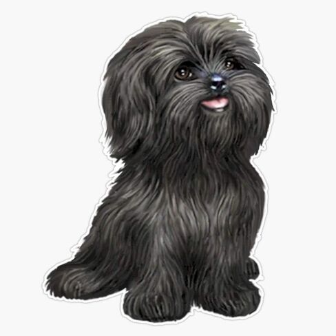 ملصق SMJ Designs Black Shih Tzu - ملصق مغناطيسي مقاوم للماء من الفينيل باللون الأسود - 5 بوصة in Kuwait