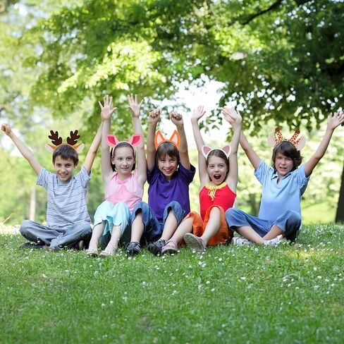 6 Pcs Animal Ears Headbands, Jungle Animal Headbands, Cosplay Hair Hoop for Birthday Halloween Costume Party, Fluffy Costume Headpiece for Kids in Saudi Arabia