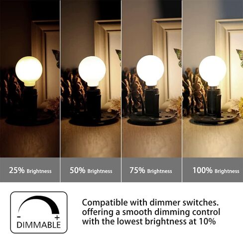 LEOOLS Dimmable G16.5 LED Bulbs,E26 Edison LED Light Bulbs,6W Equal 60 Watt Light Bulb,600lm,Amber Warm White 2700K,Globe Light Bulb for Pendant,Vintage LED Filament Edison Bulb With Decorative,6Pcs in Kuwait