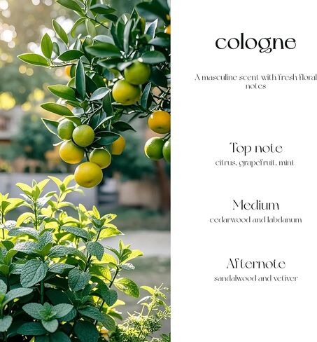 معطر هواء السيارة المعطر للربيع والصيف - موزع روائح الزيوت العطرية المعلقة مع عطر يدوم لمدة 90 يومًا، غير سام وصديق للبيئة، هدية للرجال والنساء (كولونيا) in Kuwait