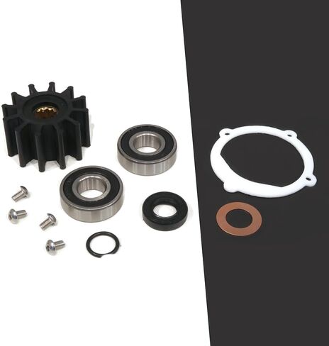 مجموعة خدمات إعادة بناء مضخة مياه البحر الخام F5B-9 من The ROP Shop لفولفو بنتا 875811-2، 21951346 in Saudi Arabia
