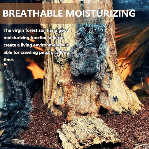 BNOSDM Reptile Soil Substrate Fluffy Small-Strand Reptile Substrate and Snake Bedding Clean Natural Terrarium Bedding for Lizards Snakes Tortoises Tarantulas in Kuwait