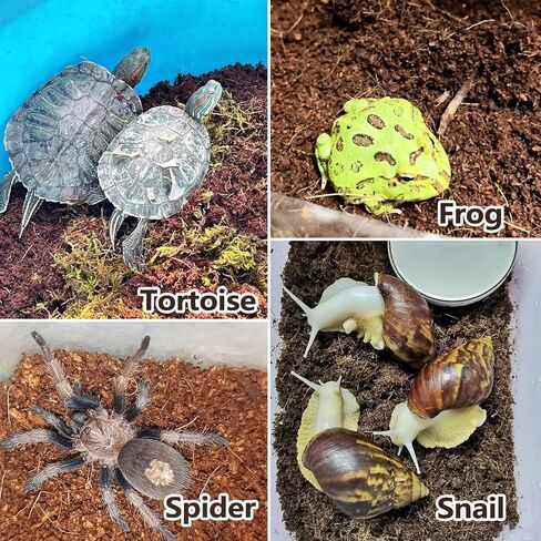 BNOSDM Reptile Soil Substrate Fluffy Small-Strand Reptile Substrate and Snake Bedding Clean Natural Terrarium Bedding for Lizards Snakes Tortoises Tarantulas in Kuwait