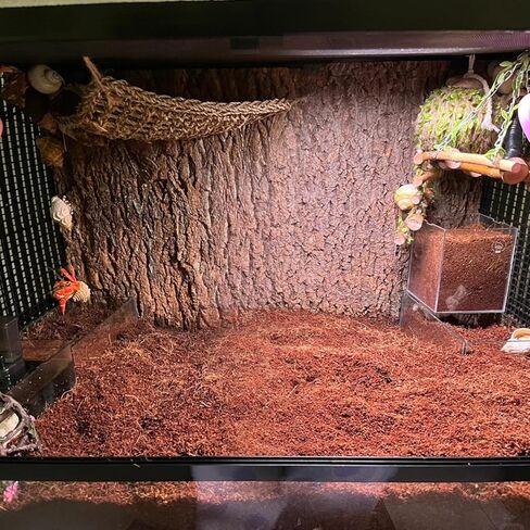 BNOSDM Reptile Soil Substrate Fluffy Small-Strand Reptile Substrate and Snake Bedding Clean Natural Terrarium Bedding for Lizards Snakes Tortoises Tarantulas in Kuwait