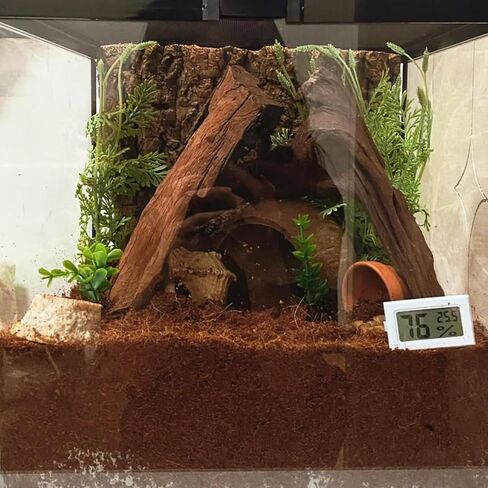 BNOSDM Reptile Soil Substrate Fluffy Small-Strand Reptile Substrate and Snake Bedding Clean Natural Terrarium Bedding for Lizards Snakes Tortoises Tarantulas in Kuwait