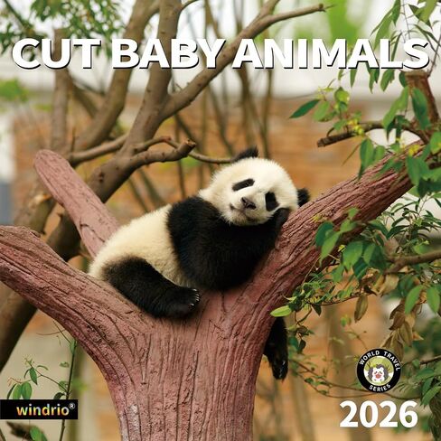 2025 Wall Calendar,Calendar 2025, January 2025 - December 2025, Wall Calendar Cat Kitten, 12" x 24" Opened,Full Page Months Thick & Sturdy Paper for Calendar Organizing & Planning in Saudi Arabia