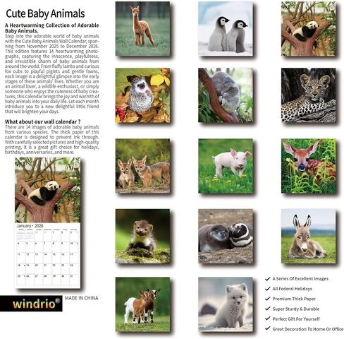 2025 Wall Calendar,Calendar 2025, January 2025 - December 2025, Wall Calendar Cat Kitten, 12" x 24" Opened,Full Page Months Thick & Sturdy Paper for Calendar Organizing & Planning in Saudi Arabia