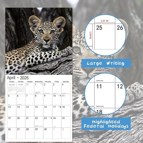2025 Wall Calendar,Calendar 2025, January 2025 - December 2025, Wall Calendar Cat Kitten, 12" x 24" Opened,Full Page Months Thick & Sturdy Paper for Calendar Organizing & Planning in Saudi Arabia