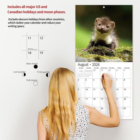 2025 Wall Calendar,Calendar 2025, January 2025 - December 2025, Wall Calendar Cat Kitten, 12" x 24" Opened,Full Page Months Thick & Sturdy Paper for Calendar Organizing & Planning in Saudi Arabia