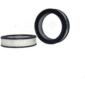 Air Filter for 1979 American Motors Spirit (PG-2566156) in Kuwait