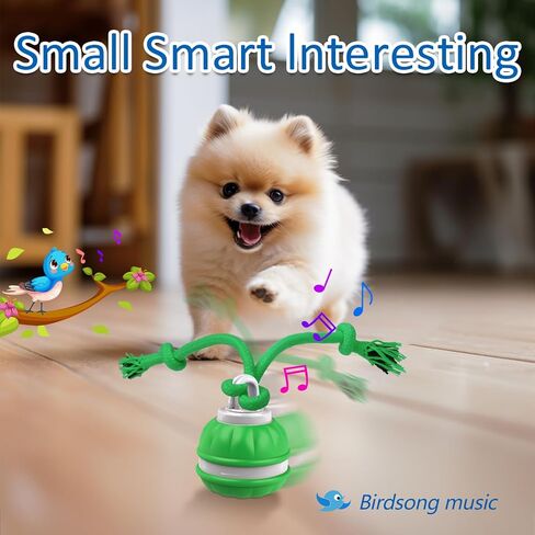 Interactive Dog Toys, Motion Activated Dog Ball, Automatic Rolling Ball Toys for Puppy/Small Dogs in Saudi Arabia
