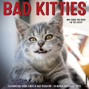Willow Creek Press، تقويم حائط Just Bad Kitties 2026، 12 بوصة × 12 بوصة، تقويم 18 شهرًا مع غلاف مثبت in Kuwait