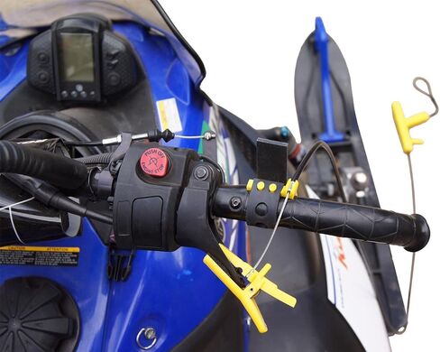 RemoteThrottle Control in Saudi Arabia