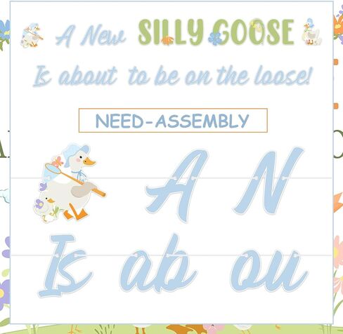 Silly Goose Baby Shower Decor Goose Baby Shower Decors A New Silly Goose Is About To Be On The Loose Banner Floral Goose Gender Reveal Decors Fun Farm Animal Geese Birthday Decor Flower Lawn Party Supplies in Saudi Arabia