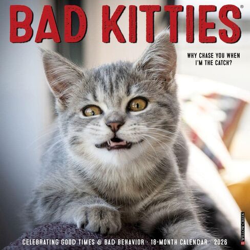 Willow Creek Press، تقويم حائط Just Bad Kitties 2026، 12 بوصة × 12 بوصة، تقويم 18 شهرًا مع غلاف مثبت in Kuwait