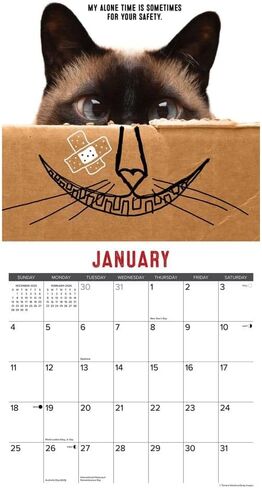Willow Creek Press، تقويم حائط Just Bad Kitties 2026، 12 بوصة × 12 بوصة، تقويم 18 شهرًا مع غلاف مثبت in Kuwait