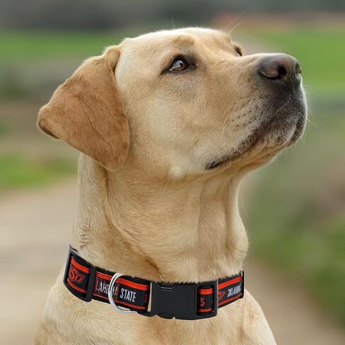 Pets First Collegiate Pet Accessories، طوق الكلب، يوتا يوتيس، متوسط in Saudi Arabia