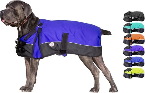 Derby Originals Horse Tough 600D Ripstop Waterproof Reflective Winter Dog Coat 150g Medium Weight, Royal Blue, 17.5" in Saudi Arabia
