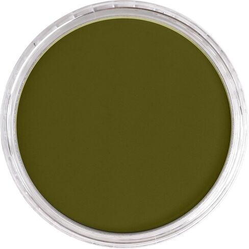 PanPastel Artist Pastels من GOLDEN، أصفر ساطع وأخضر داكن جدًا، قطر المقلاة 2.44 بوصة / 62 مم، ألوان باستيل للفنانين المحترفين، شكل مقلاة فريد (يشبه الكعكة) in Saudi Arabia