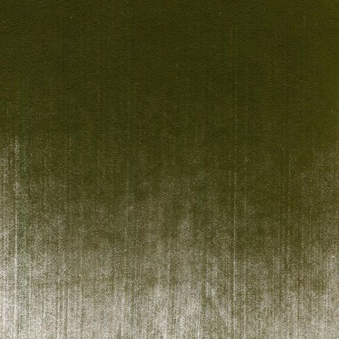 PanPastel Artist Pastels من GOLDEN، أصفر ساطع وأخضر داكن جدًا، قطر المقلاة 2.44 بوصة / 62 مم، ألوان باستيل للفنانين المحترفين، شكل مقلاة فريد (يشبه الكعكة) in Saudi Arabia