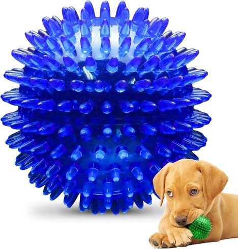 PetSport Gorilla Ball Scented, Super Durable, Ultra Light and Ultra Bouncy Dog Toy for Small, Medium and Large Dogs, Assorted Colors (5" X-Large Gorilla Ball) in Saudi Arabia