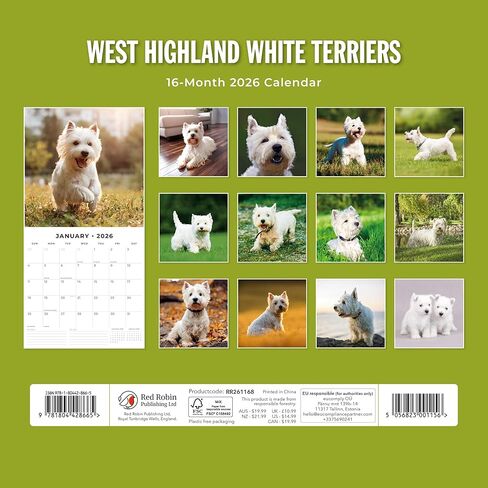 Red Robin 2026 West Highland White Terriers Monthly Wall Calendar | 12" x 24" Open | Premium Thick & Sturdy Paper | Hangable 12 Month Calendar | Lined Notes & To Do Area | Vivid Images | Plastic Free in Saudi Arabia
