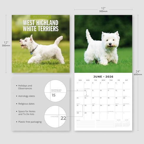 Red Robin 2026 West Highland White Terriers Monthly Wall Calendar | 12" x 24" Open | Premium Thick & Sturdy Paper | Hangable 12 Month Calendar | Lined Notes & To Do Area | Vivid Images | Plastic Free in Saudi Arabia