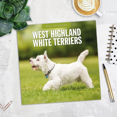 Red Robin 2026 West Highland White Terriers Monthly Wall Calendar | 12" x 24" Open | Premium Thick & Sturdy Paper | Hangable 12 Month Calendar | Lined Notes & To Do Area | Vivid Images | Plastic Free in Saudi Arabia