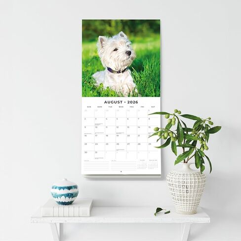 Red Robin 2026 West Highland White Terriers Monthly Wall Calendar | 12" x 24" Open | Premium Thick & Sturdy Paper | Hangable 12 Month Calendar | Lined Notes & To Do Area | Vivid Images | Plastic Free in Saudi Arabia