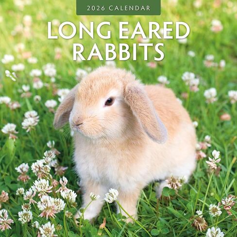 Red Robin 2026 Long Eared Rabbits Monthly Wall Calendar | 12" x 24" Open | Premium Thick & Sturdy Paper | Hangable 12 Month Calendar | Lined Notes & To Do Area | Vivid Images | Plastic Free in Saudi Arabia