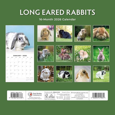 Red Robin 2026 Long Eared Rabbits Monthly Wall Calendar | 12" x 24" Open | Premium Thick & Sturdy Paper | Hangable 12 Month Calendar | Lined Notes & To Do Area | Vivid Images | Plastic Free in Saudi Arabia