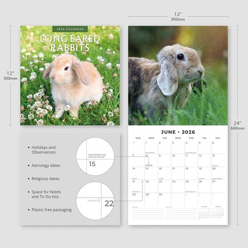 Red Robin 2026 Long Eared Rabbits Monthly Wall Calendar | 12" x 24" Open | Premium Thick & Sturdy Paper | Hangable 12 Month Calendar | Lined Notes & To Do Area | Vivid Images | Plastic Free in Saudi Arabia
