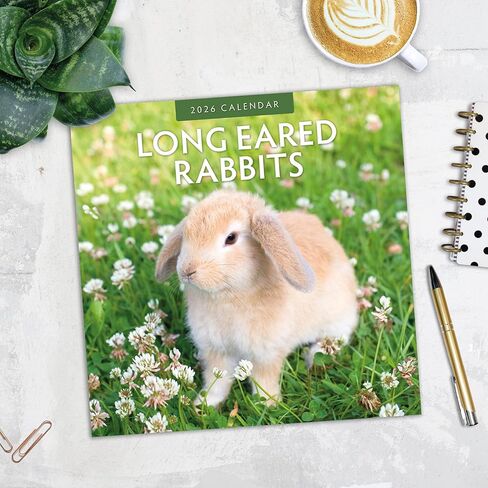 Red Robin 2026 Long Eared Rabbits Monthly Wall Calendar | 12" x 24" Open | Premium Thick & Sturdy Paper | Hangable 12 Month Calendar | Lined Notes & To Do Area | Vivid Images | Plastic Free in Saudi Arabia