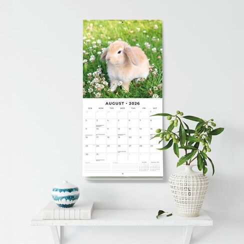 Red Robin 2026 Long Eared Rabbits Monthly Wall Calendar | 12" x 24" Open | Premium Thick & Sturdy Paper | Hangable 12 Month Calendar | Lined Notes & To Do Area | Vivid Images | Plastic Free in Saudi Arabia