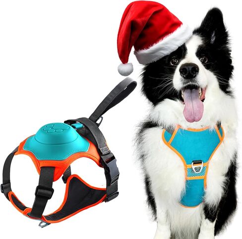 Dog Harness with Retractable Leash，2-in-1 Big & Medium Dog Harness Vest with Built-in Auto-Stop Function Leash, 370 LB of Pull Adjustable Dog Walking Harness-XL, Hand Free Dog Leash Harness Set in Kuwait