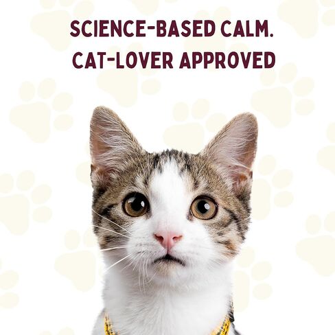 بطاقات التأكيد الإيجابية لمحبي الكلاب - 50 بطاقة تحفيزية يومية وتقنيات العناية الذاتية لتخفيف التوتر والقلق - هدايا ملهمة للكلاب للنساء لعيد الميلاد أو عيد الميلاد in Kuwait