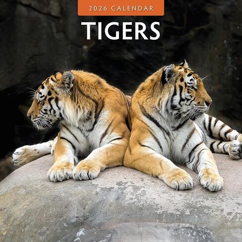 Red Robin 2026 Tigers Monthly Wall Calendar | 12" x 24" Open | Premium Thick & Sturdy Paper | Hangable 12 Month Calendar | Lined Notes & To Do Area | Vivid Images | Plastic Free in Saudi Arabia