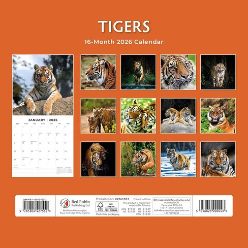 Red Robin 2026 Tigers Monthly Wall Calendar | 12" x 24" Open | Premium Thick & Sturdy Paper | Hangable 12 Month Calendar | Lined Notes & To Do Area | Vivid Images | Plastic Free in Saudi Arabia