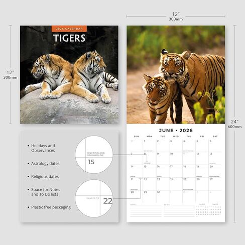 Red Robin 2026 Tigers Monthly Wall Calendar | 12" x 24" Open | Premium Thick & Sturdy Paper | Hangable 12 Month Calendar | Lined Notes & To Do Area | Vivid Images | Plastic Free in Saudi Arabia