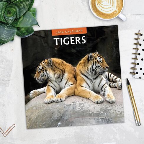 Red Robin 2026 Tigers Monthly Wall Calendar | 12" x 24" Open | Premium Thick & Sturdy Paper | Hangable 12 Month Calendar | Lined Notes & To Do Area | Vivid Images | Plastic Free in Saudi Arabia
