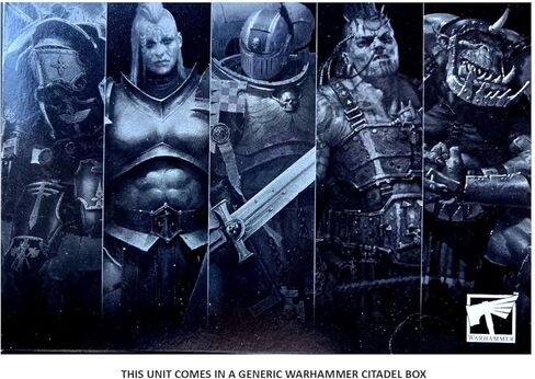 محاربو الفوضى: Hellstriders of Slaanesh (5) (2012) in Saudi Arabia