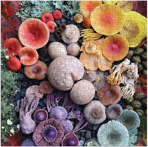 Galison World of Mushrooms – 1000 Piece Jigsaw Puzzle Featuring Beautiful Painted Artwork of A Mushroom and Fungi Collection in Saudi Arabia