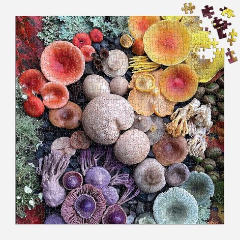 Galison World of Mushrooms – 1000 Piece Jigsaw Puzzle Featuring Beautiful Painted Artwork of A Mushroom and Fungi Collection in Saudi Arabia