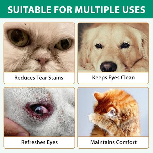 قطرات عين الكلب، منظف العين للكلاب والقطط، يدعم تخفيف عدوى العين، وتخفيف احمرار وحساسية العين، وإزالة بقع الدموع وحطام العين - مكمل العناية اللطيفة لعين الحيوانات الأليفة، قطرات للعيون - 2 أونصة سائلة... in Kuwait