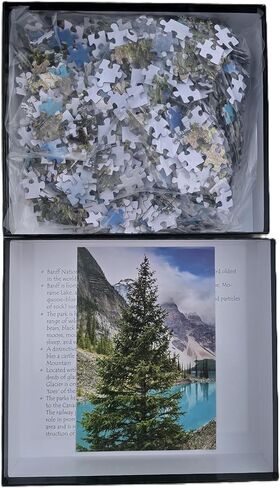 Wonderscapes - حديقة زيون الوطنية - أحجية الصور المقطوعة هبوط الملائكة، 1000 قطعة، 27.55 × 19.68 بوصة in Saudi Arabia