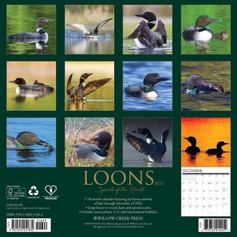 Willow Creek Press، تقويم حائط Loons 2026، 12 بوصة × 12 بوصة، تقويم لمدة 18 شهرًا مع غلاف مثبت in Kuwait