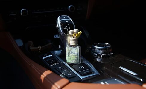 هذا عبارة عن معطر هواء بمشبك تنفيس السيارة وزيت ناشر عصا خشبية + مجموعة إعادة التعبئة مع المطبوعات الشهيرة لفنسنت فان جوخ وكلود مونيه ليمون الأوكالبتوس in Saudi Arabia