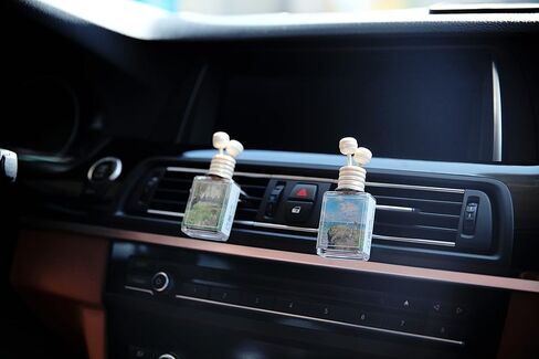 هذا عبارة عن معطر هواء بمشبك تنفيس السيارة وزيت ناشر عصا خشبية + مجموعة إعادة التعبئة مع المطبوعات الشهيرة لفنسنت فان جوخ وكلود مونيه ليمون الأوكالبتوس in Saudi Arabia