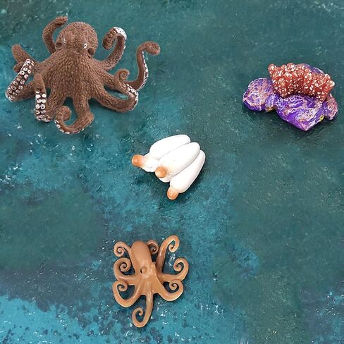 LC JoyCre Hermit Crab Toys Plastic Crab Figurine 5 Inch Sea Creatures Toys for Kids Crab Decor for Collection Realistic Sea Life Animals Figure Model in Kuwait