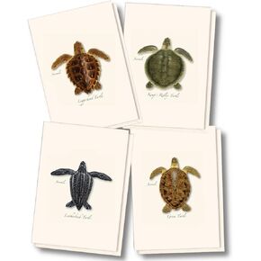 Earth Sky + Water - Sea Turtle Juveniles Assortment Notecard Set - 8 Blank Cards with Envelopes (2 each of 4 styles)
